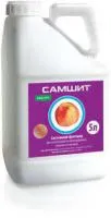 Самшит КС